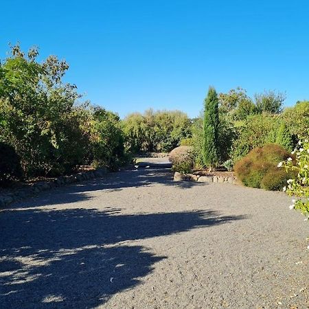 Bidwills Gem Βίλα Greytown Εξωτερικό φωτογραφία