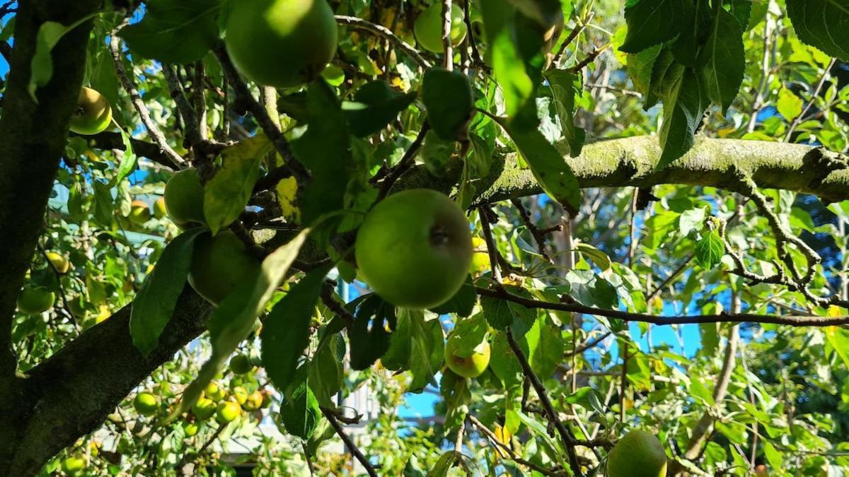 Bidwills Gem Βίλα Greytown Εξωτερικό φωτογραφία